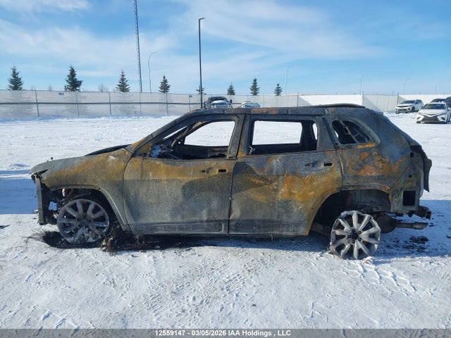 Jeep Cherokee Limited 2014 1C4PJMDS3EW207064 Image 13