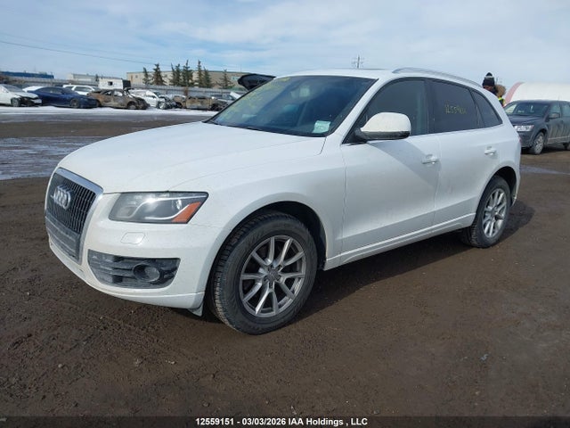 Продажа на аукционе авто 2012 Audi Q5 2.0t Premium Plus, vin: WA1VFCFP7CA028557, номер лота: 12559151