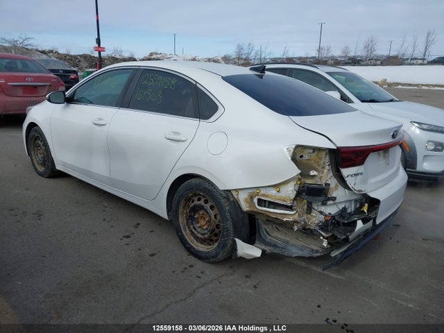 12559158 :رقم المزاد ، 3KPF54AD6LE161503 vin ، 2020 Kia Forte Ex/ex Limited/ex Premium/ex+ مزاد بيع