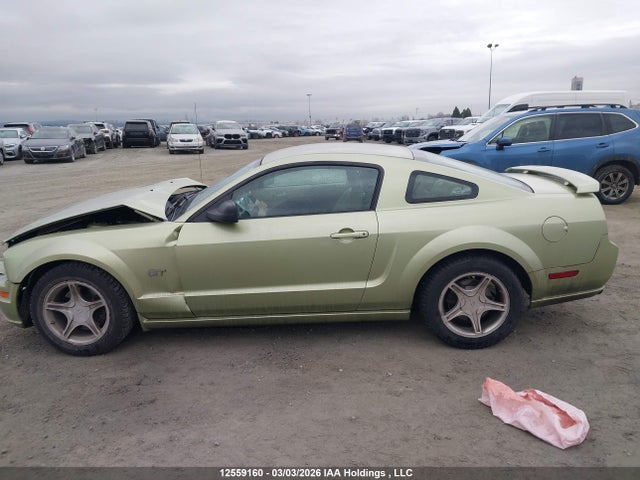 2005 Ford Mustang Gt მანქანა იყიდება აუქციონზე, vin: 1ZVFT82H755146048, აუქციონის ნომერი: 12559160