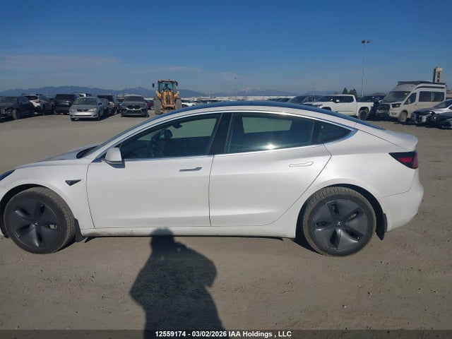 Aukcja sprzedaży 2020 Tesla Model 3, vin: 5YJ3E1EA1LF625695, numer aukcji: 12559174