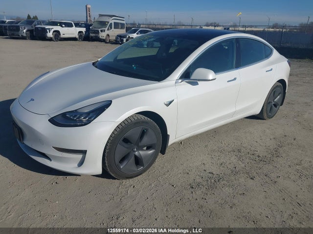 Aukcja sprzedaży 2020 Tesla Model 3, vin: 5YJ3E1EA1LF625695, numer aukcji: 12559174