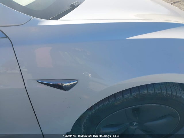 Aukcja sprzedaży 2020 Tesla Model 3, vin: 5YJ3E1EA1LF625695, numer aukcji: 12559174