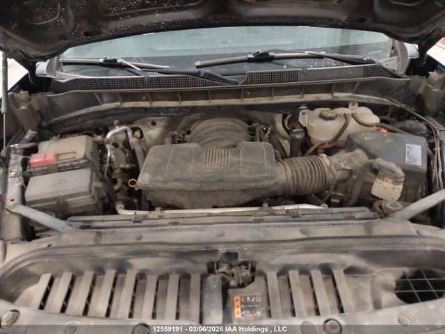 1GCUYBEF6LZ115625 Chevrolet Silverado 1500 Custom