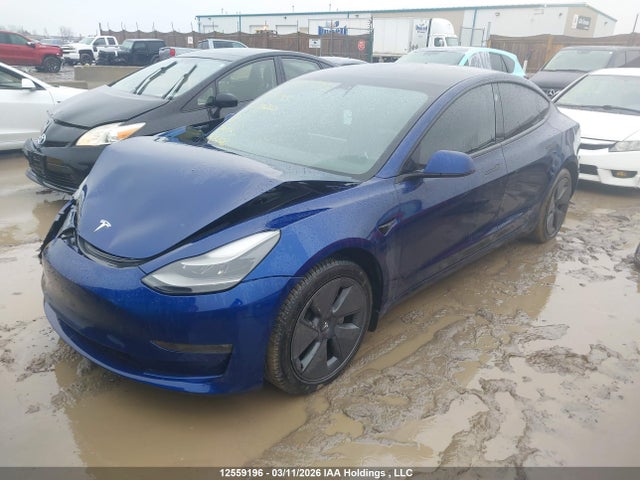Продажа на аукционе авто 2023 Tesla Model 3 Long Range, vin: 5YJ3E1EB4PF392121, номер лота: 12559196