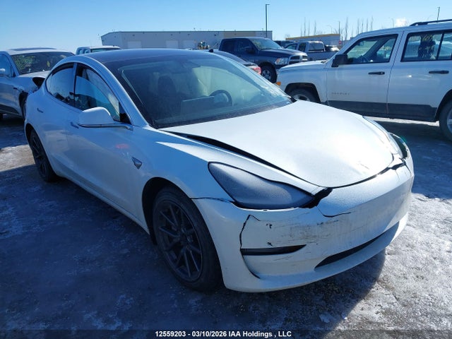 12559203 :رقم المزاد ، 5YJ3E1EA7LF738874 vin ، 2020 Tesla Model 3 مزاد بيع