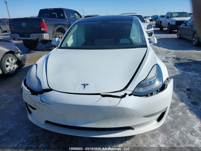 Aukcja sprzedaży 2020 Tesla Model 3, vin: 5YJ3E1EA7LF738874, numer aukcji: 12559203