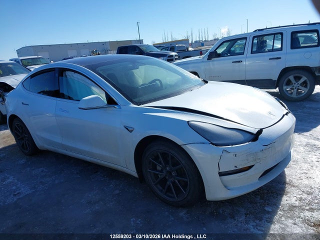 Aukcja sprzedaży 2020 Tesla Model 3, vin: 5YJ3E1EA7LF738874, numer aukcji: 12559203