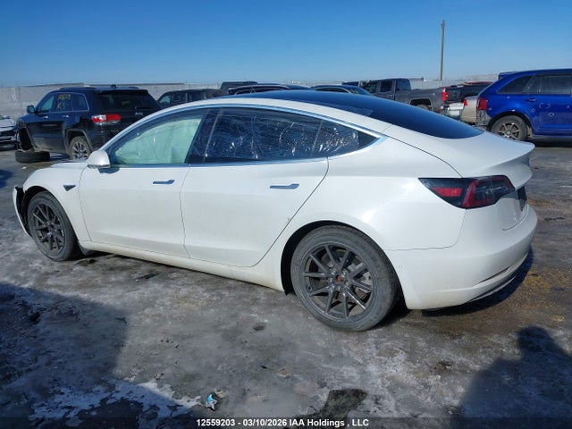 Aukcja sprzedaży 2020 Tesla Model 3, vin: 5YJ3E1EA7LF738874, numer aukcji: 12559203