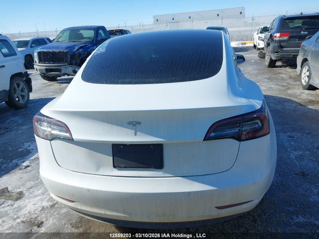 Aukcja sprzedaży 2020 Tesla Model 3, vin: 5YJ3E1EA7LF738874, numer aukcji: 12559203