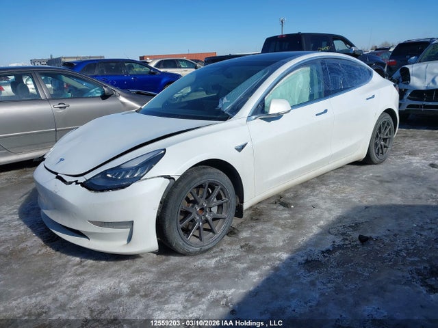 Aukcja sprzedaży 2020 Tesla Model 3, vin: 5YJ3E1EA7LF738874, numer aukcji: 12559203
