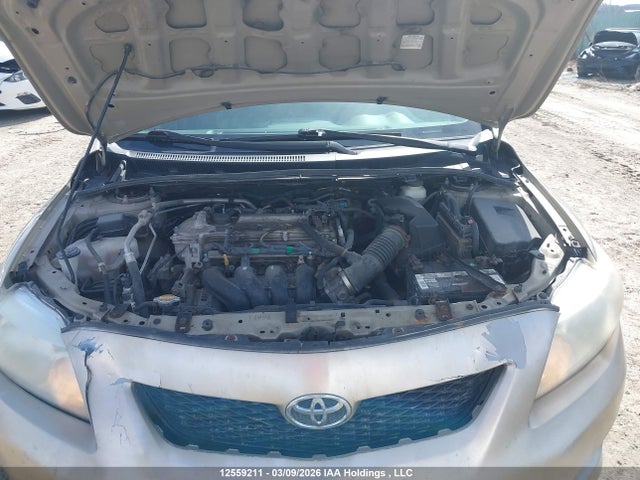 Продаж на аукціоні авто 2010 Toyota Corolla Ce, vin: 2T1BU4EE1AC212227, номер лоту: 12559211