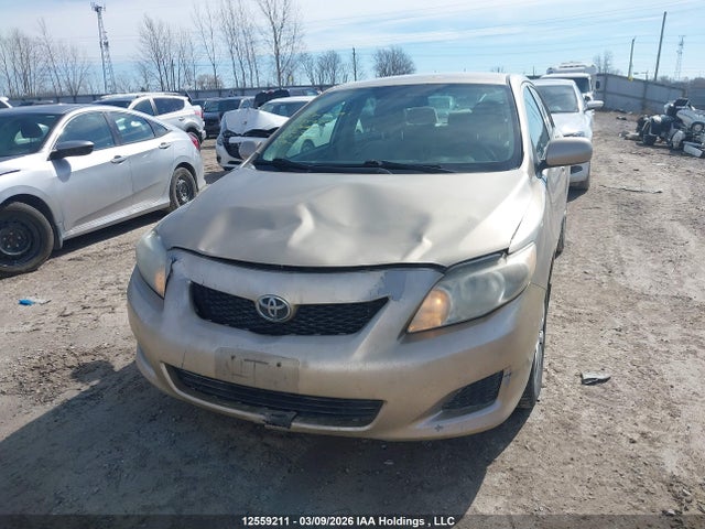 Продаж на аукціоні авто 2010 Toyota Corolla Ce, vin: 2T1BU4EE1AC212227, номер лоту: 12559211