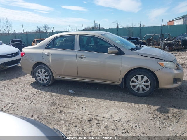 Продаж на аукціоні авто 2010 Toyota Corolla Ce, vin: 2T1BU4EE1AC212227, номер лоту: 12559211