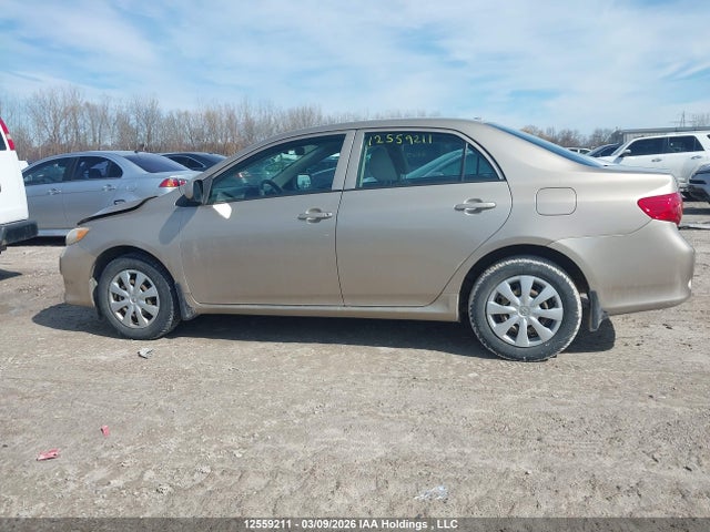 Продаж на аукціоні авто 2010 Toyota Corolla Ce, vin: 2T1BU4EE1AC212227, номер лоту: 12559211