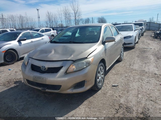 Продаж на аукціоні авто 2010 Toyota Corolla Ce, vin: 2T1BU4EE1AC212227, номер лоту: 12559211