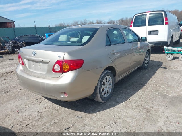 Продаж на аукціоні авто 2010 Toyota Corolla Ce, vin: 2T1BU4EE1AC212227, номер лоту: 12559211