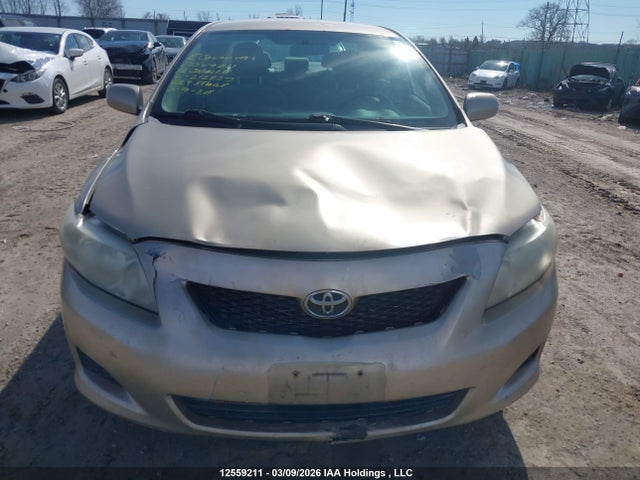 Продаж на аукціоні авто 2010 Toyota Corolla Ce, vin: 2T1BU4EE1AC212227, номер лоту: 12559211