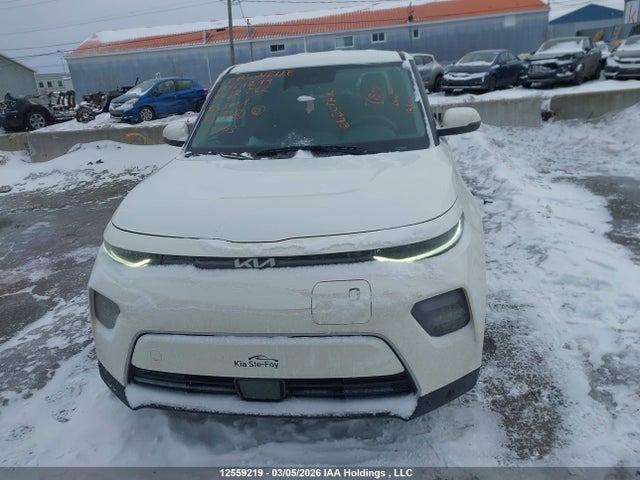 KNDJ23A20P7032562 KIA Soul Ev Premium