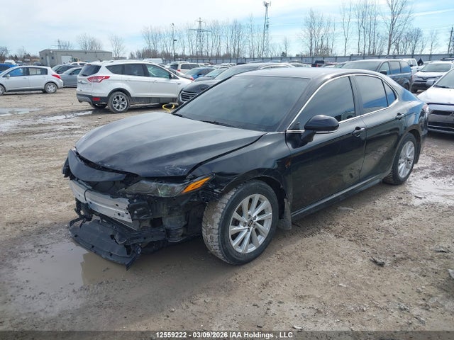 4T1G11AK1NU649528 Toyota Camry