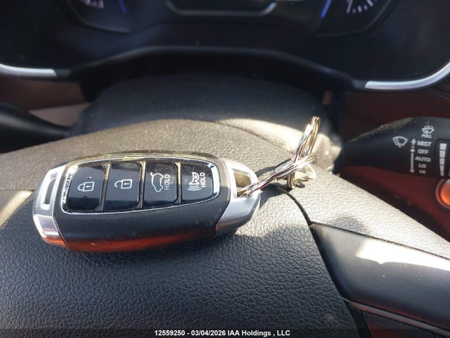 Aukcja sprzedaży 2020 Hyundai Santa Fe Ultimate Turbo Awd, vin: 5NMS5CAA7LH155796, numer aukcji: 12559250