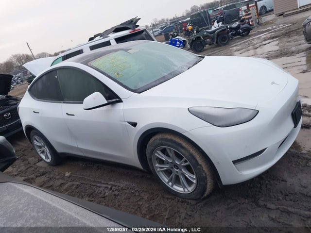 5YJYGDEE7LF026000 Tesla Model Y