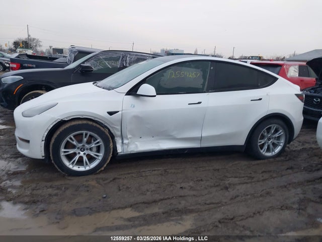 5YJYGDEE7LF026000 Tesla Model Y