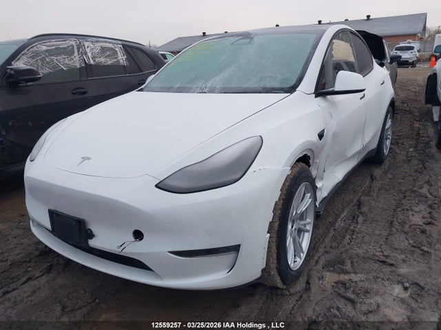 5YJYGDEE7LF026000 Tesla Model Y