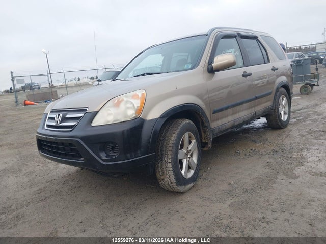 Продаж на аукціоні авто 2005 Honda Cr-v Ex, vin: JHLRD78885C800441, номер лоту: 12559276
