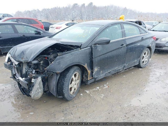 2011 Hyundai Sonata Gls მანქანა იყიდება აუქციონზე, vin: 5NPEB4AC6BH202329, აუქციონის ნომერი: 12559286