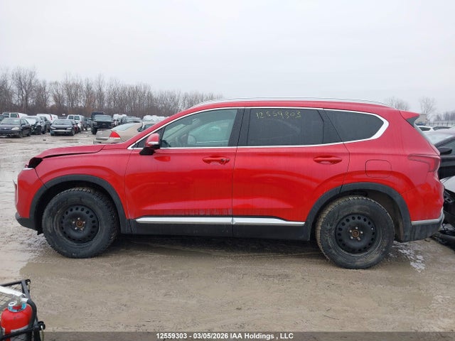 2020 Hyundai Santa Fe Preferred Turbo Awd With Sun And Leather Package მანქანა იყიდება აუქციონზე, vin: 5NMS3CAA7LH283140, აუქციონის ნომერი: 12559303