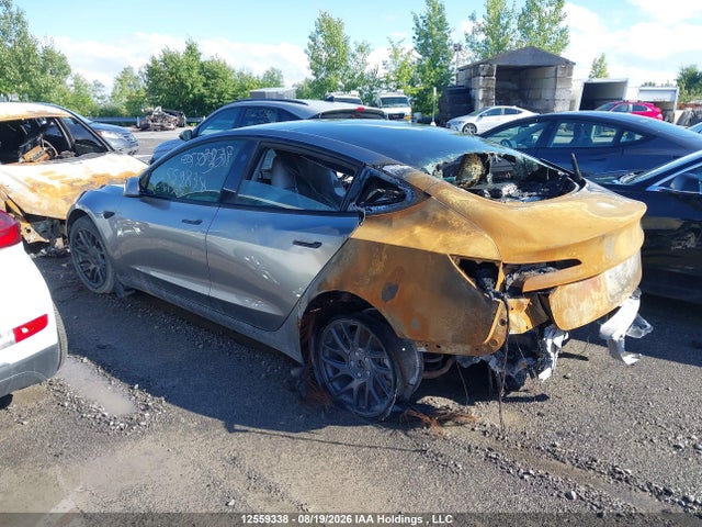 Tesla Model 3 Long Range 2025 5YJ3E1EA5SF901505 Image 3