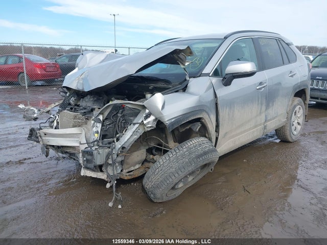 12559346 :رقم المزاد ، 2T3B1RFV5LC118785 vin ، 2020 Toyota Rav4 Le مزاد بيع