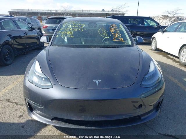 Продаж на аукціоні авто 2023 Tesla Model 3 Rwd, vin: LRW3E1FA3PC845855, номер лоту: 12559406