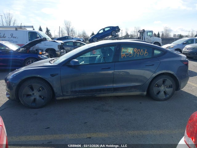 Продаж на аукціоні авто 2023 Tesla Model 3 Rwd, vin: LRW3E1FA3PC845855, номер лоту: 12559406