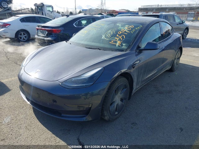 Продаж на аукціоні авто 2023 Tesla Model 3 Rwd, vin: LRW3E1FA3PC845855, номер лоту: 12559406