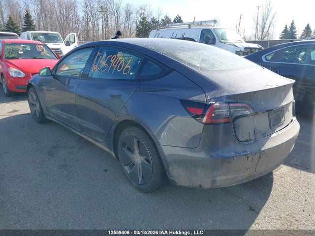 Продаж на аукціоні авто 2023 Tesla Model 3 Rwd, vin: LRW3E1FA3PC845855, номер лоту: 12559406
