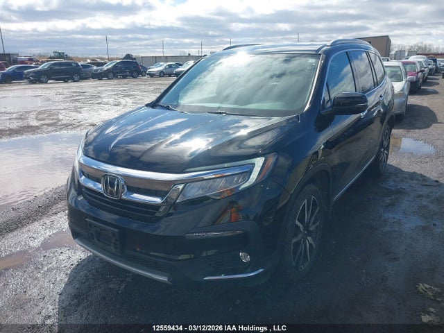 Продаж на аукціоні авто 2020 Honda Pilot Touring, vin: 5FNYF6H90LB503783, номер лоту: 12559434