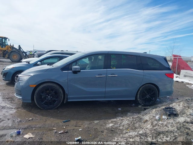 Aukcja sprzedaży 2023 Honda Odyssey, vin: 5FNRL6H87PB504522, numer aukcji: 12559441