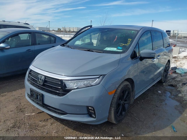 Aukcja sprzedaży 2023 Honda Odyssey, vin: 5FNRL6H87PB504522, numer aukcji: 12559441