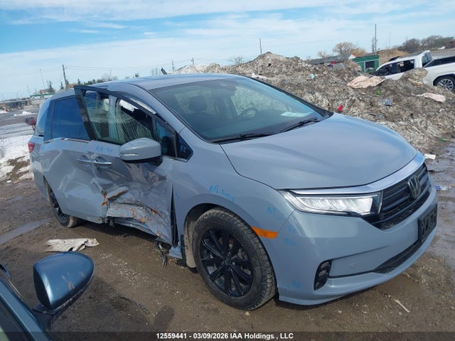 Aukcja sprzedaży 2023 Honda Odyssey, vin: 5FNRL6H87PB504522, numer aukcji: 12559441