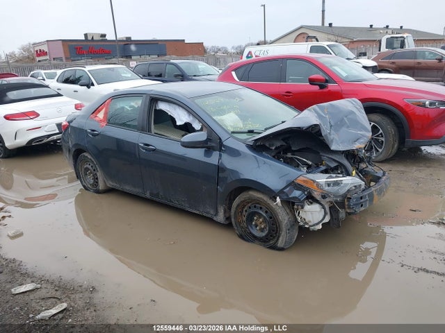 2T1BURHE7JC116904 Toyota COROLLA CE