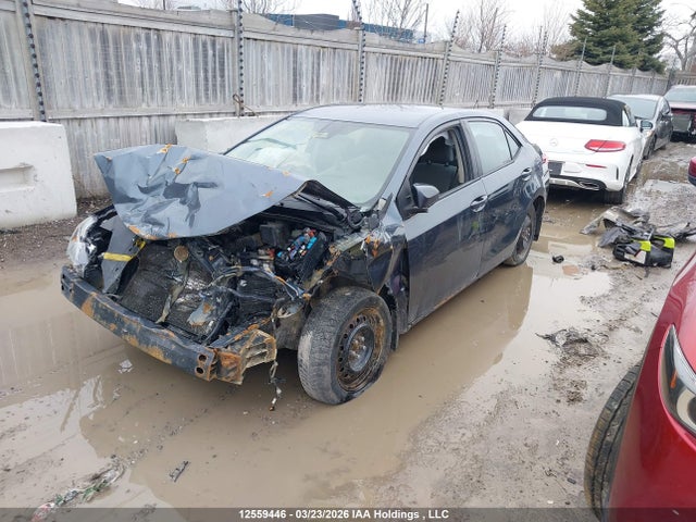 2T1BURHE7JC116904 Toyota COROLLA CE