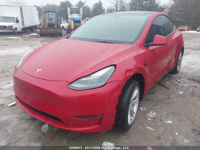 Aukcja sprzedaży 2023 Tesla Model Y Long Range, vin: 7SAYGDEEXPF780324, numer aukcji: 12559473