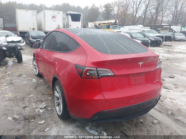 Aukcja sprzedaży 2023 Tesla Model Y Long Range, vin: 7SAYGDEEXPF780324, numer aukcji: 12559473