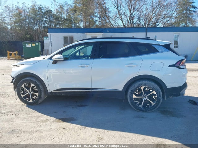 2023 Kia Sportage Ex/ex Premium W/black Interior/ex Premium W/red Interior მანქანა იყიდება აუქციონზე, vin: KNDPVCAF3P7160878, აუქციონის ნომერი: 12559485