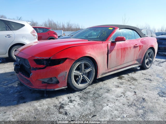 1FAGP8UH7R5133157 Ford Mustang