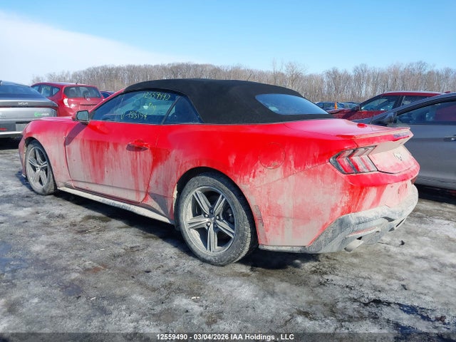 1FAGP8UH7R5133157 Ford Mustang