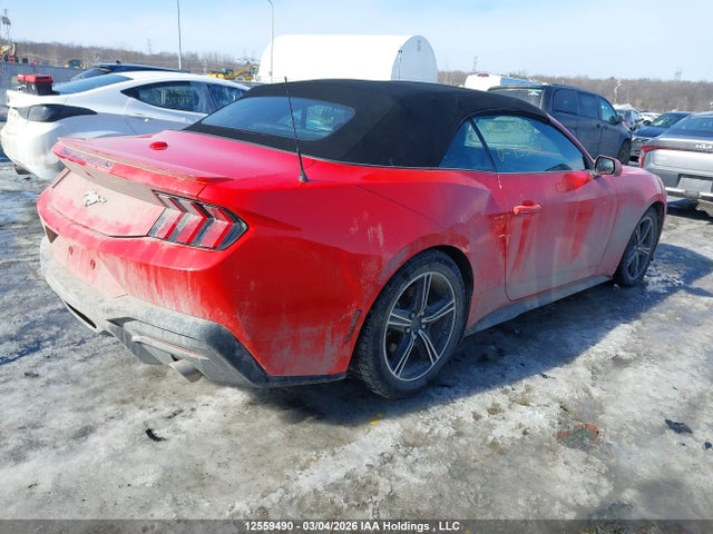 1FAGP8UH7R5133157 Ford Mustang