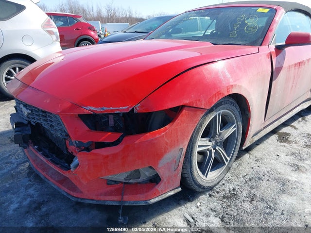 1FAGP8UH7R5133157 Ford Mustang